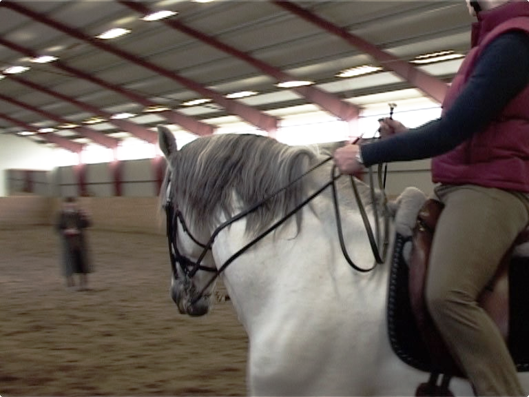 Ridlektion med Philippe Karl