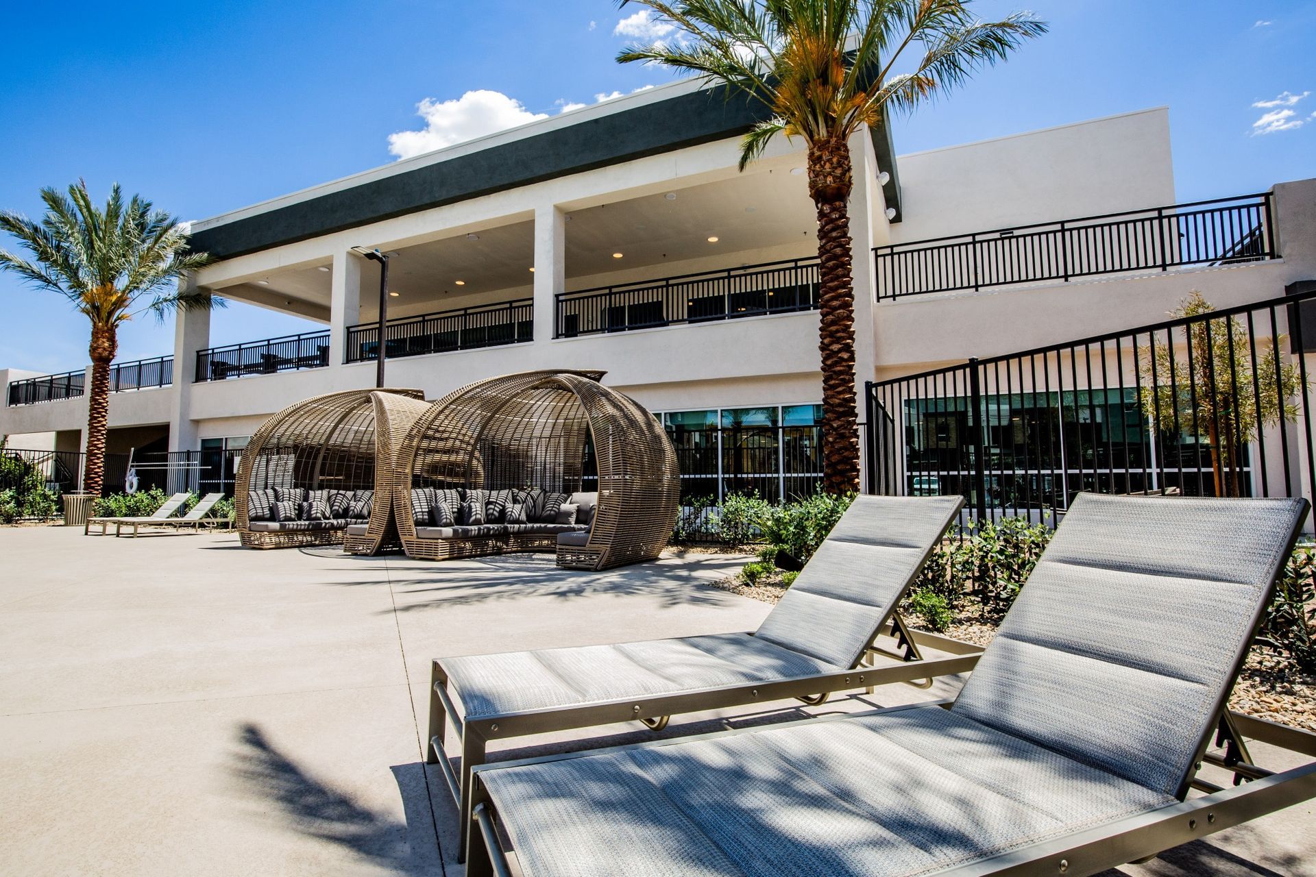 A row of lounge chairs are sitting in front of a building with palm trees.