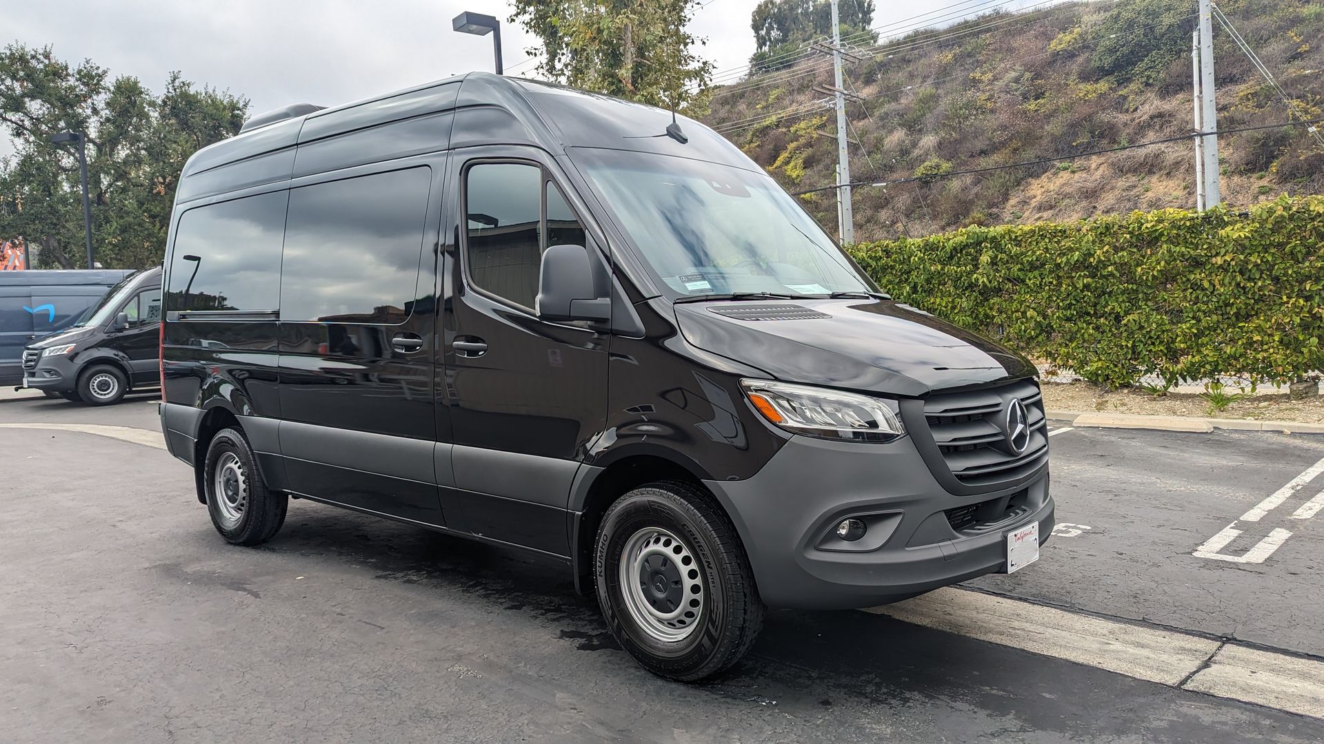 Black Mercedes Sprinter van parked in a lot beside a hedge and hillside