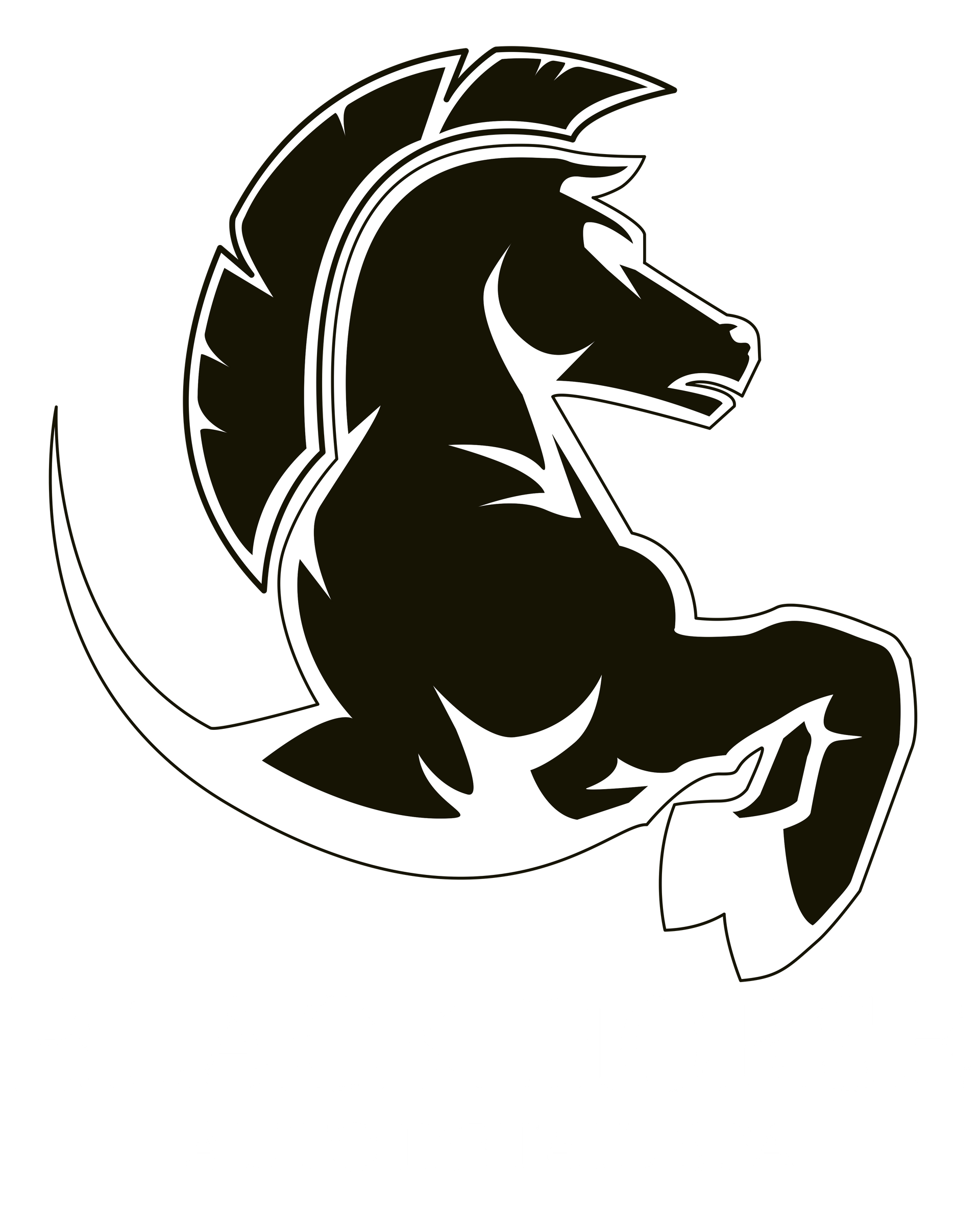 Black Horse Auto Detail Spa