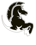 Black Horse Auto Detail Spa