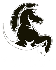 Black Horse Auto Detail Spa