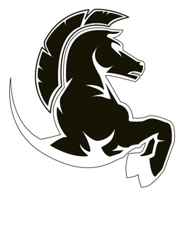 Black Horse Auto Detail Spa