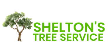 The logo for shelton 's tree service has a tree on it.