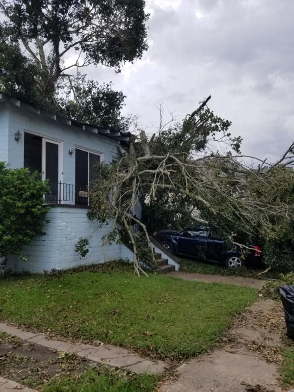 A tree has fallen on the side of a house.