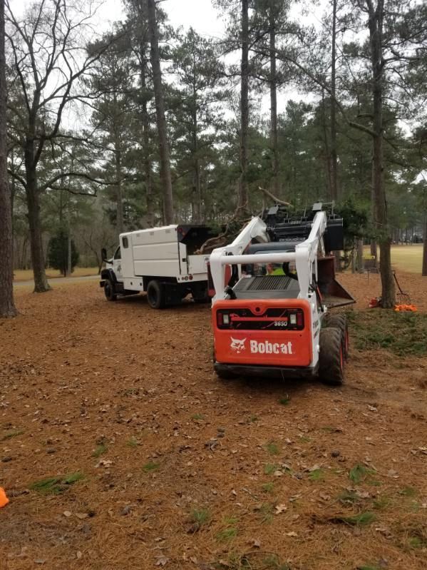 A bobcat is parked next to a truck in a yard.