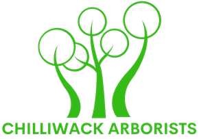Chilliwack Arborists logo