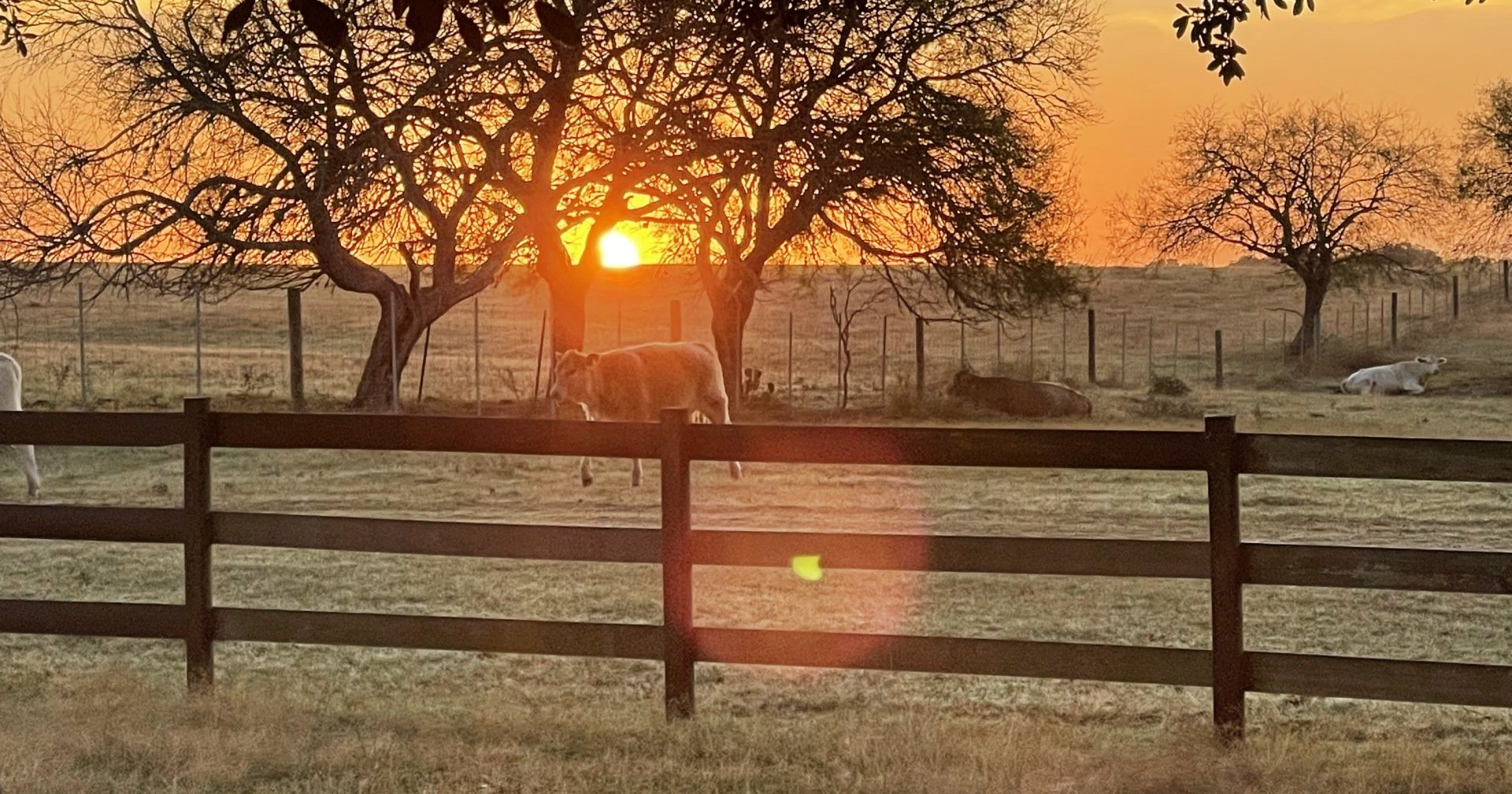 Event Venue & Lodging | Tranquility Hill Ranch | Kenedy