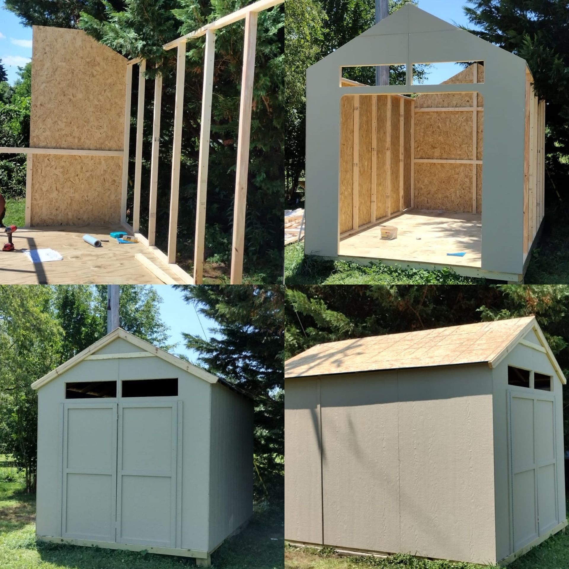 A shed is being built in a backyard with trees in the background