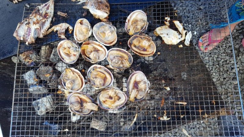 Clams grilling on a wire grate over charcoal, with one charred piece and a hand holding tongs at right