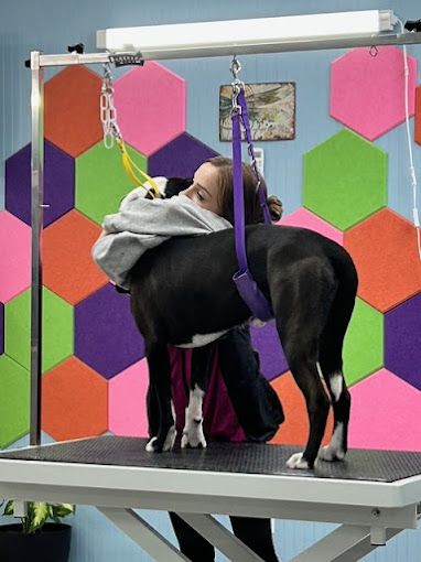 A woman is grooming a black dog on a grooming table.