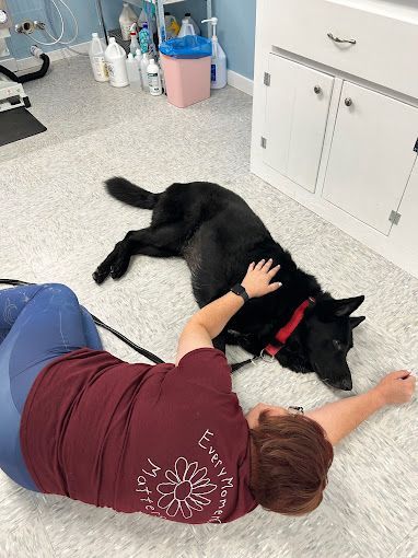 A woman is laying on the floor petting a black dog.