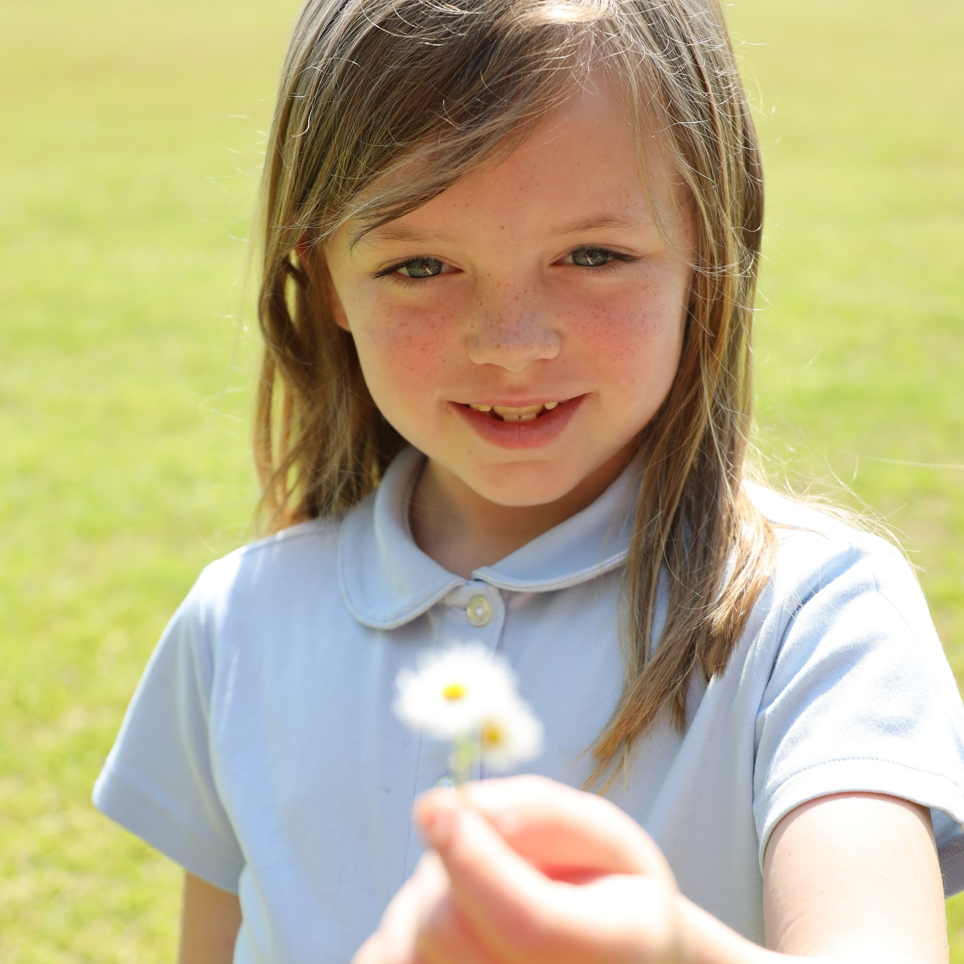 Child in a white shirt holds out a small white flower in a sunny grassy field