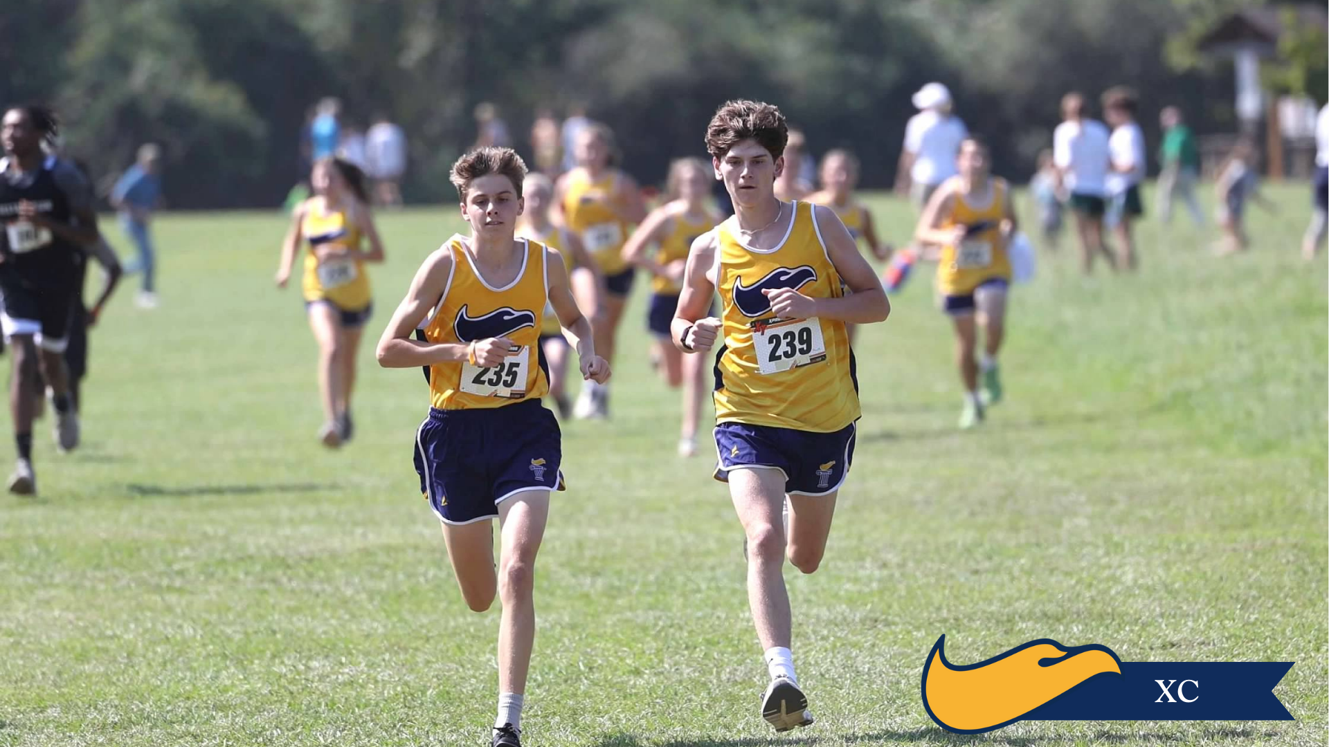 Two runners in yellow jerseys race on a grassy cross-country course, with others behind them.