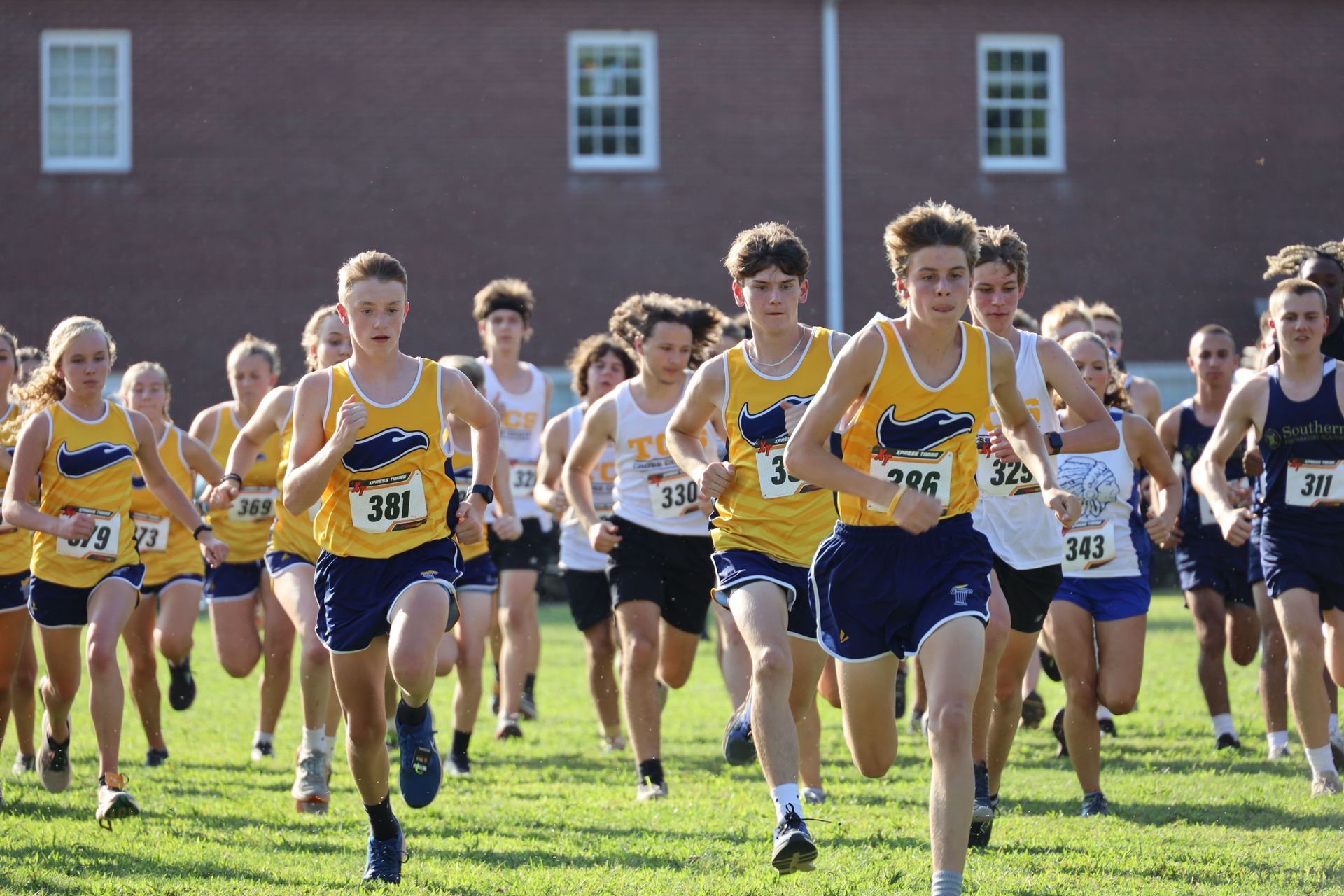 Runners in yellow jerseys race across a grassy field in a cross-country start.