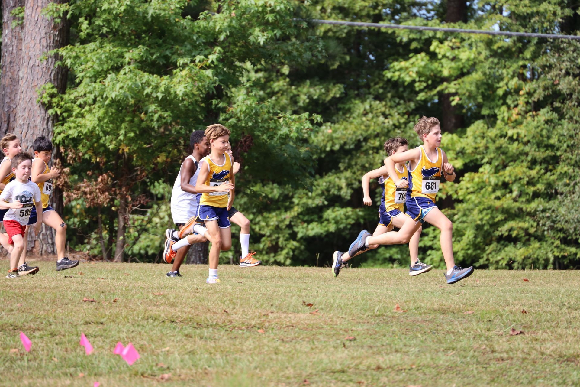 Runners racing on a grassy course, with spectators and trees in the background.