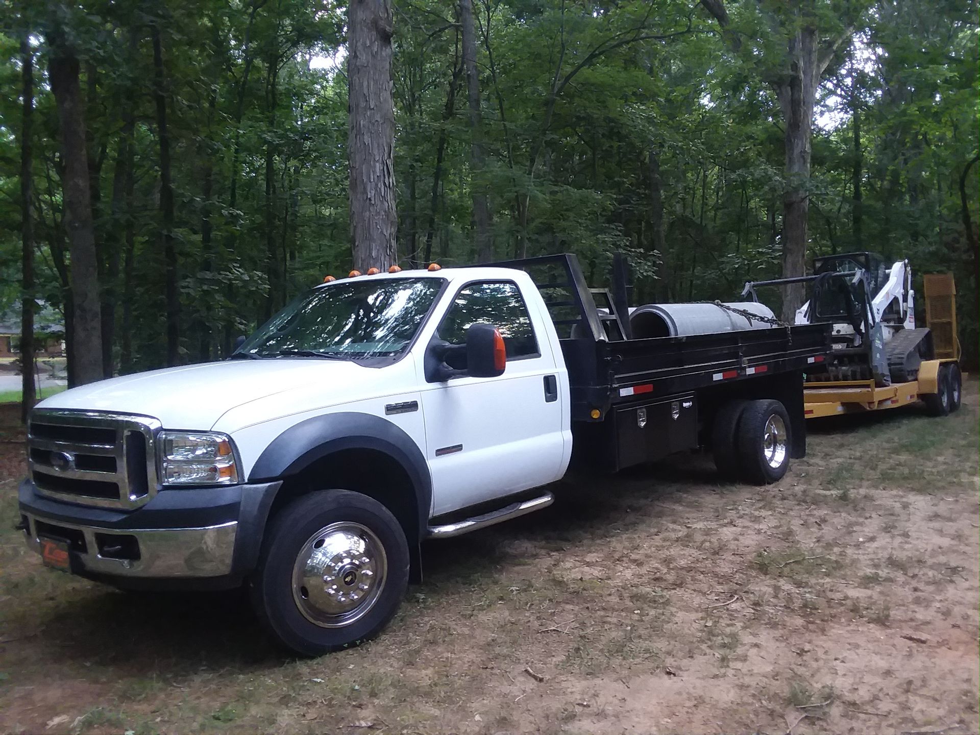 White Ford Flatbed Truck In Woods