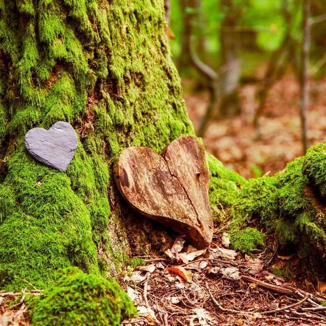 A heart-shaped stone and a wooden heart placed on a mossy tree trunk in a forest.