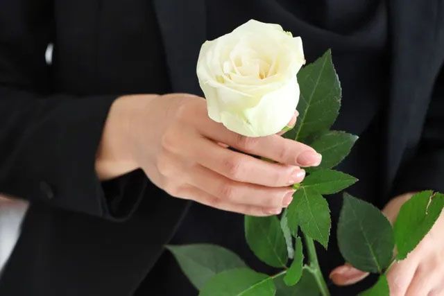 A person wearing a black blazer holds a single white rose with green leaves in their hands.