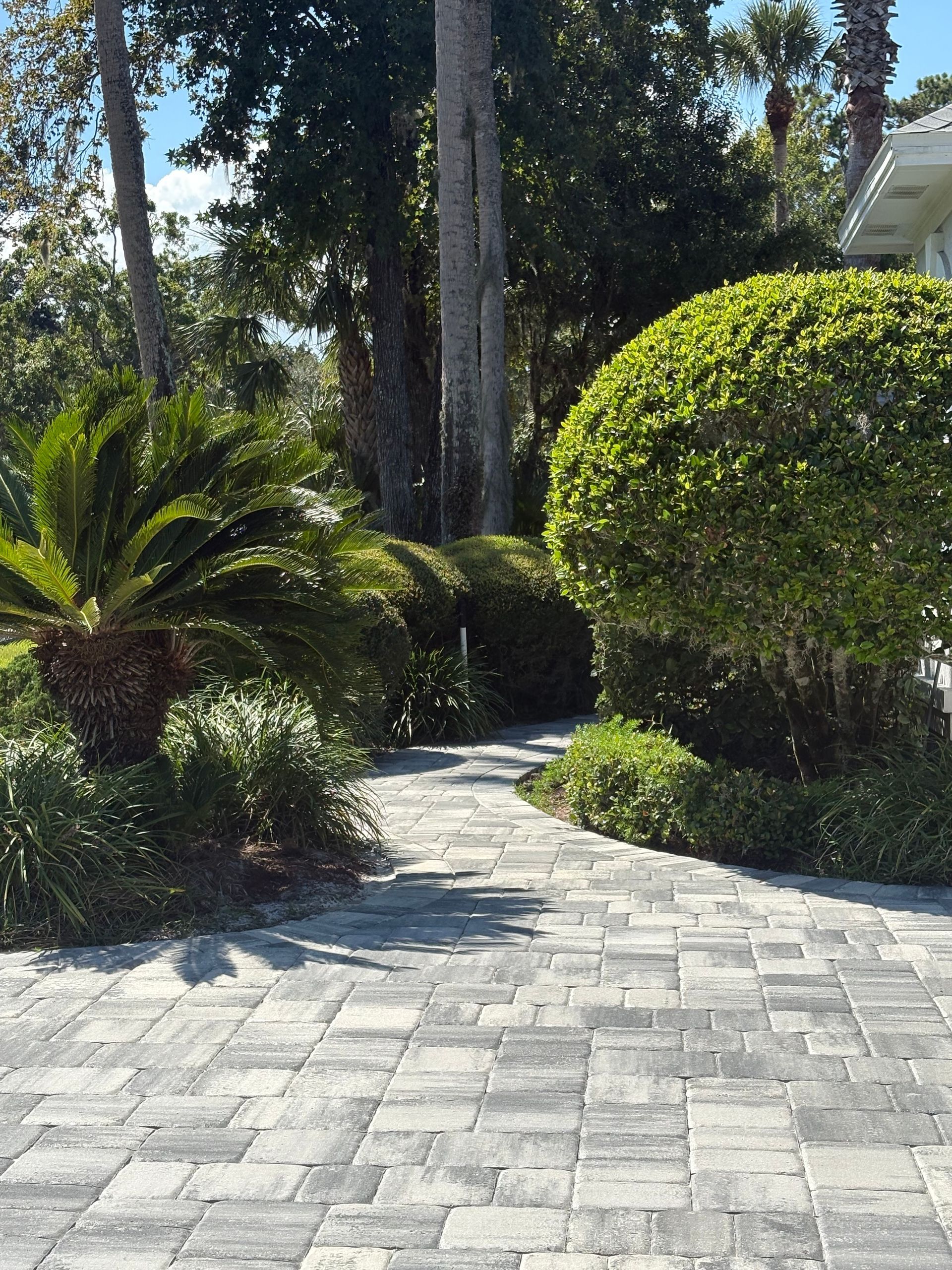 Brick pathway through a garden with green shrubs and trees.