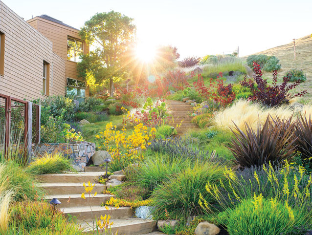 A lush green garden with stairs leading up to a house.