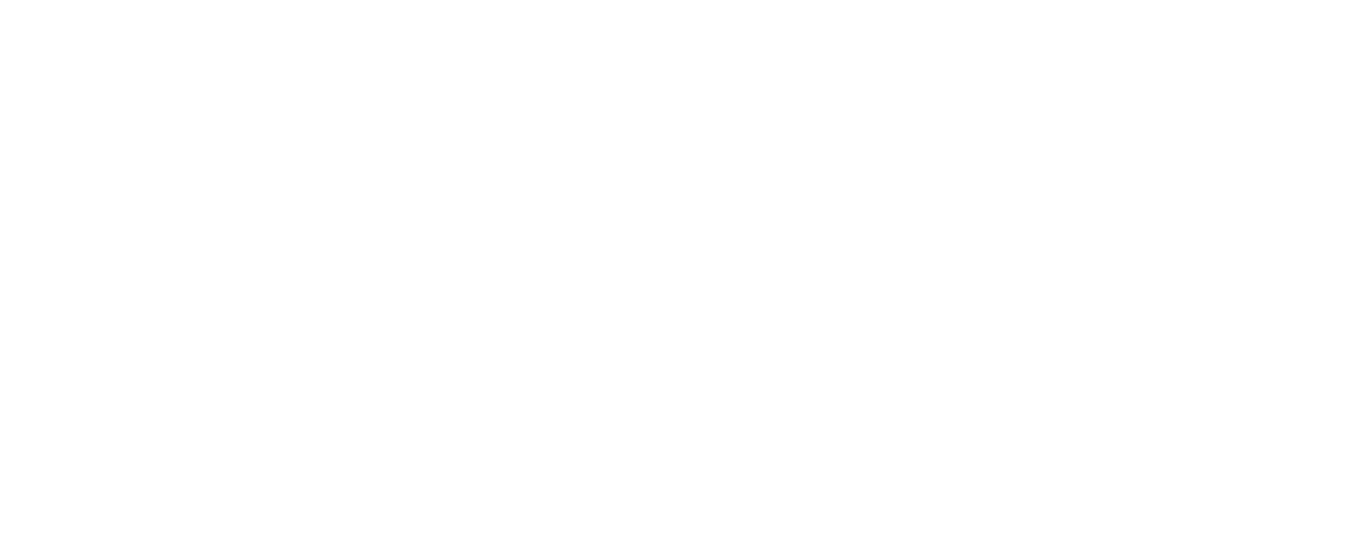 Fundo branco.