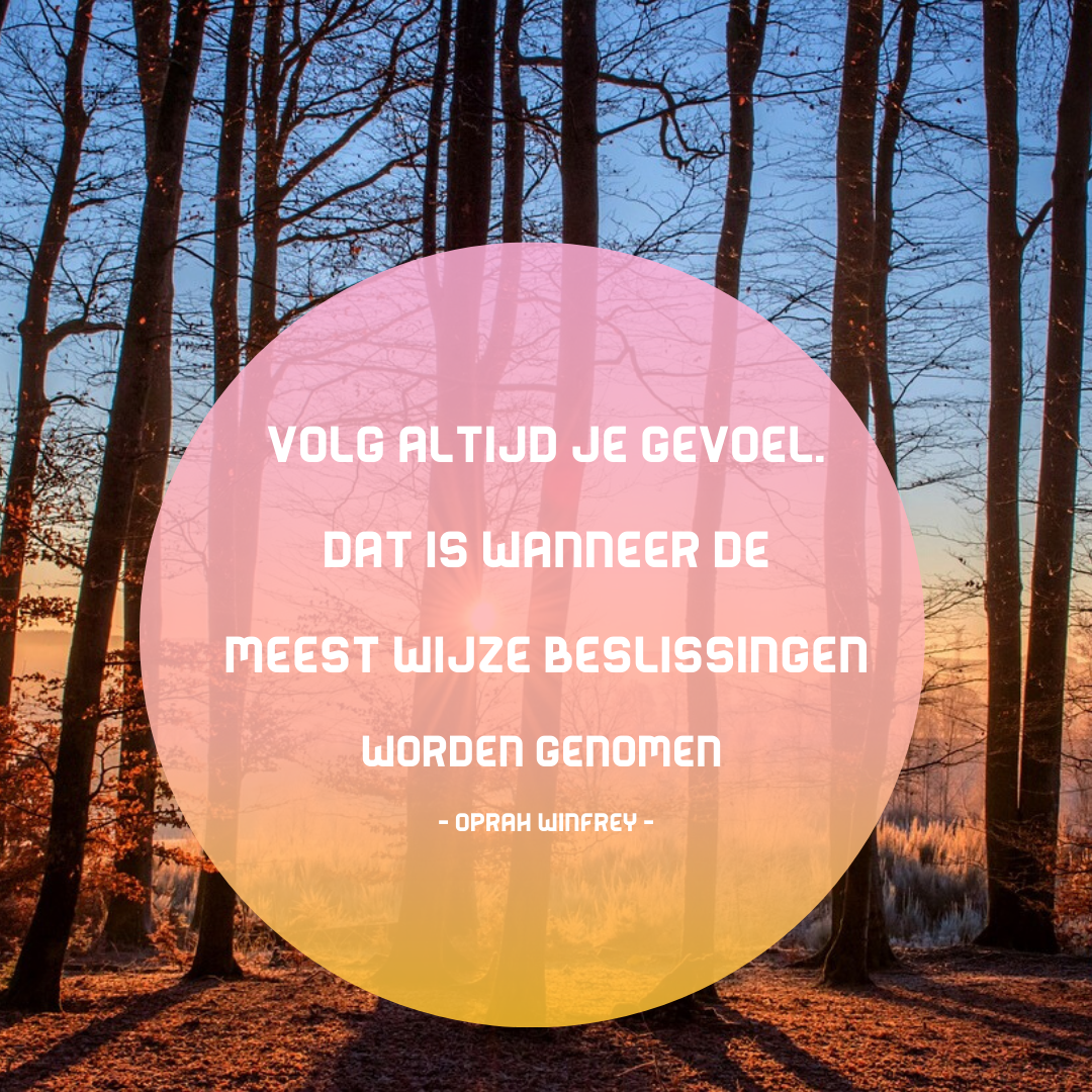 Dutch quote in white text inside a pink-yellow gradient circle over a forest sunset background