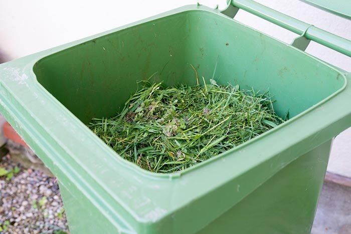 Green Trash Bin Filled With Freshly Cut Green Grass — Bob’s Trailer Trash in Rockhampton, QLD