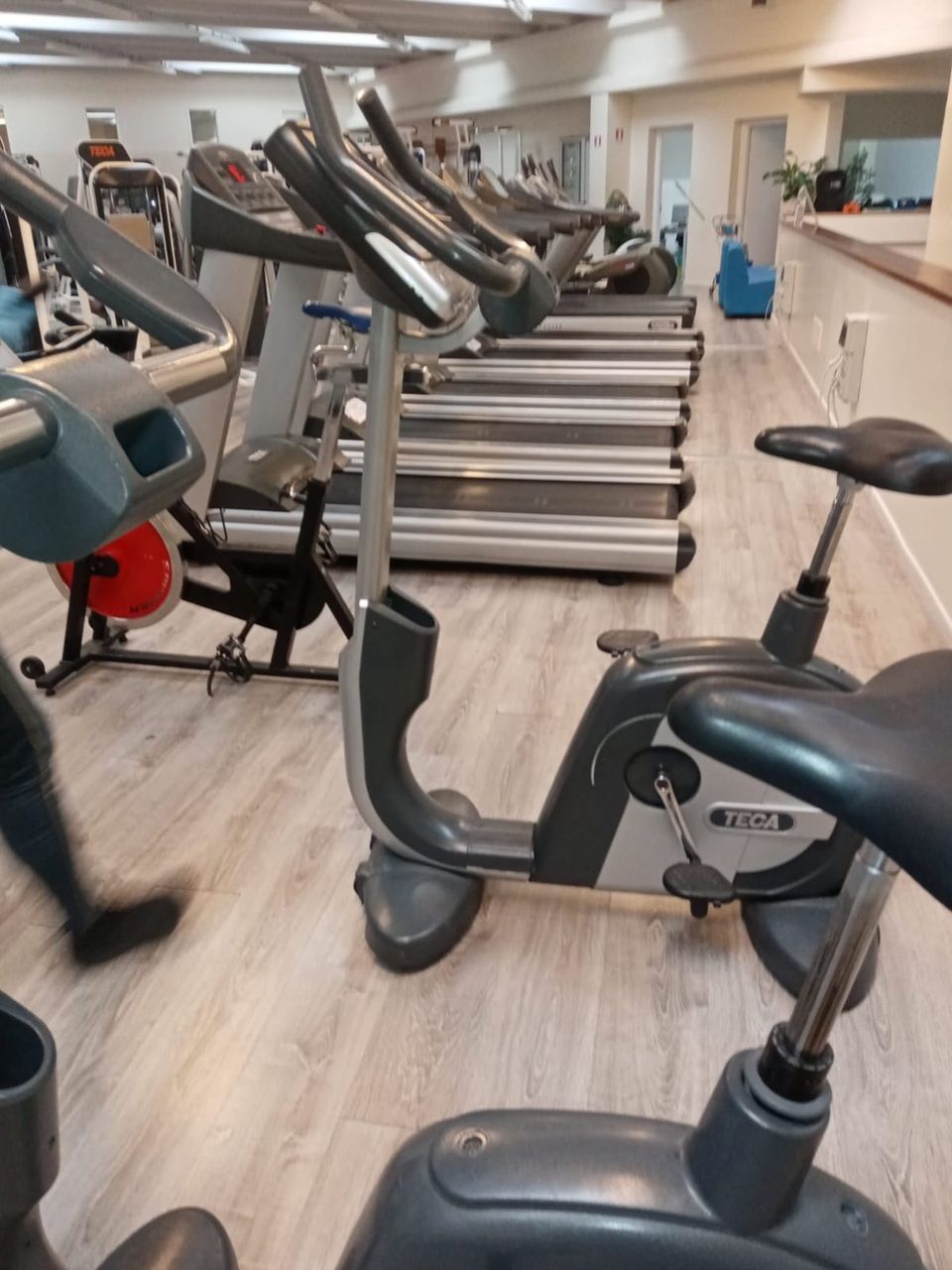 Una fila di tapis roulant in una palestra luminosa, con cyclette in primo piano.