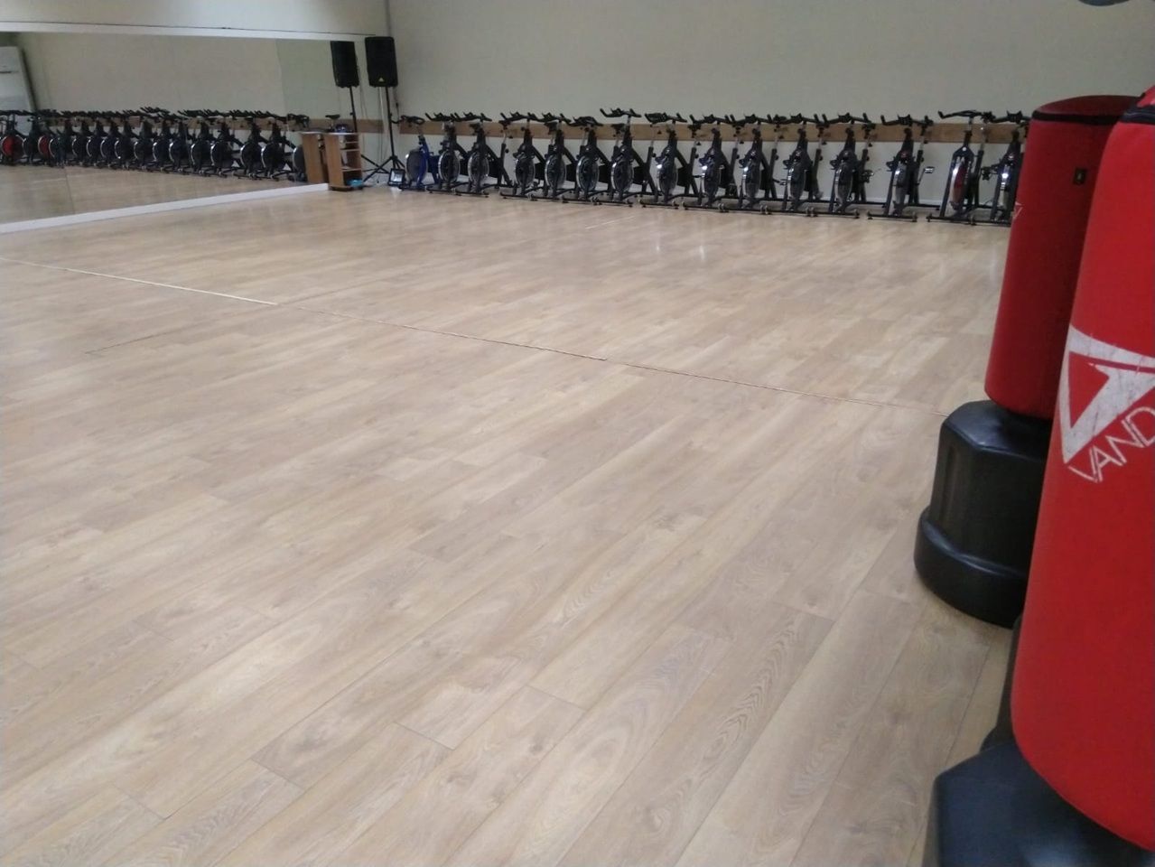 Ampia palestra con file di cyclette lungo la parete e sacchi da boxe rossi in primo piano.