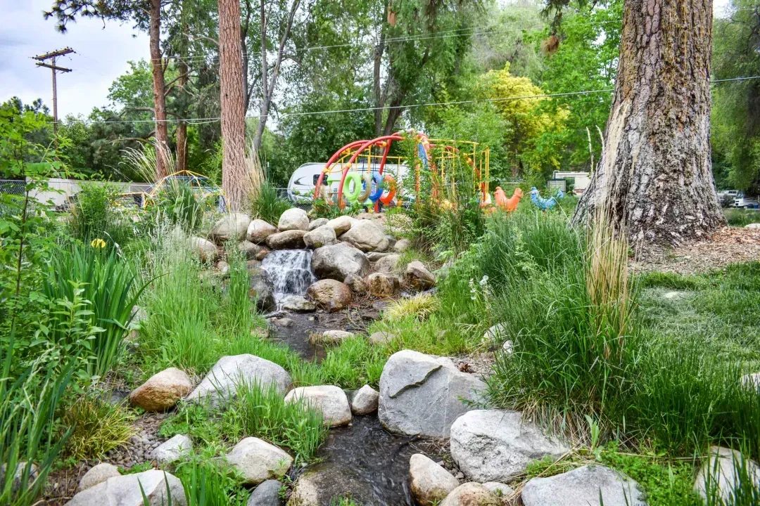 Rocky garden stream with tall grass, trees, and colorful play structure in the background