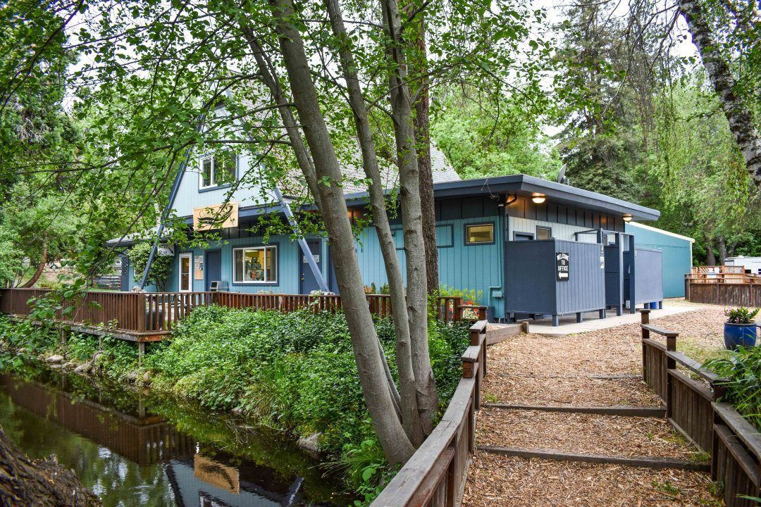 Blue house beside a narrow creek with trees and a gravel path in the foreground