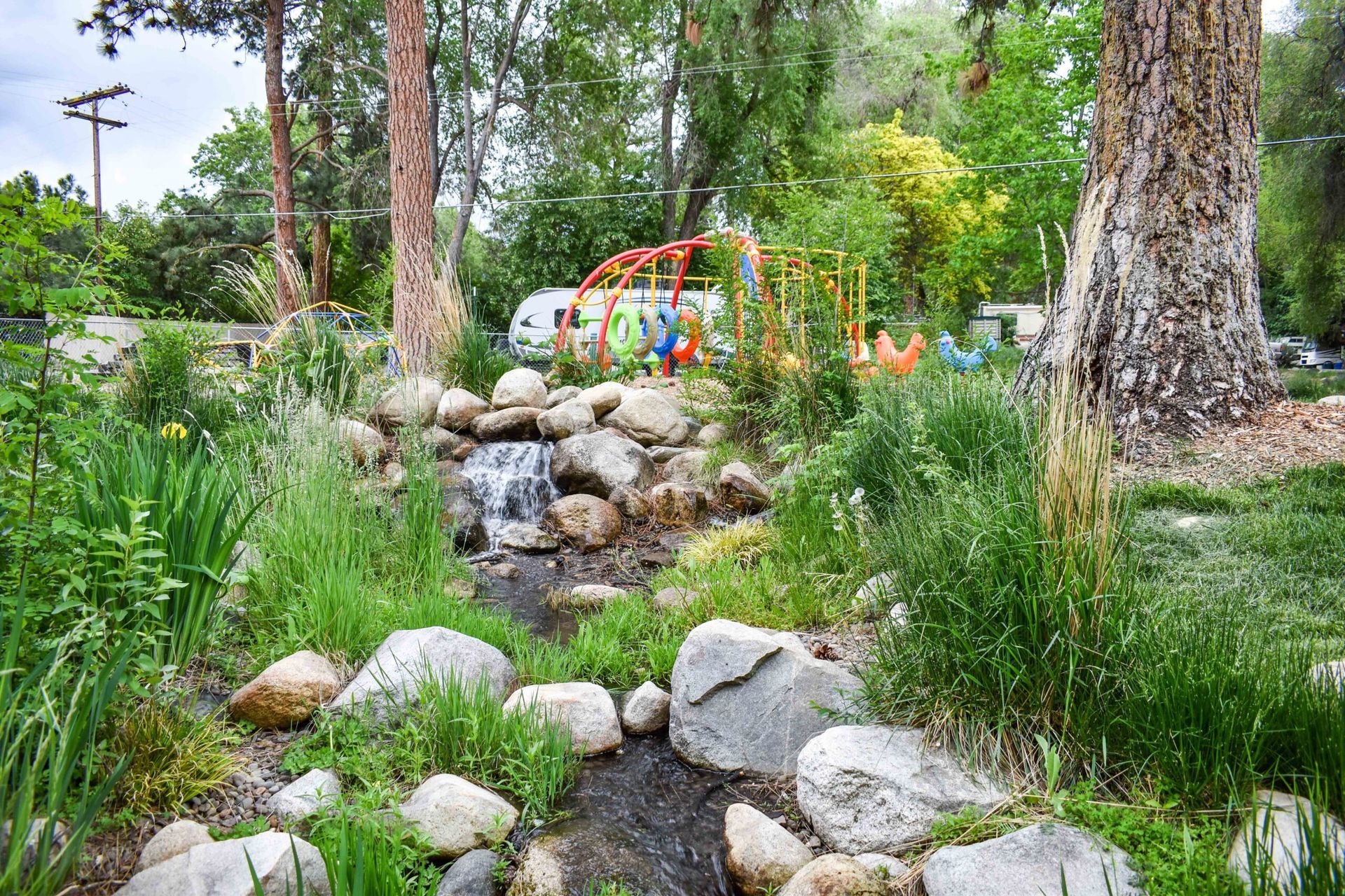 Rocky garden with tall grass, trees, and colorful playground equipment in the background