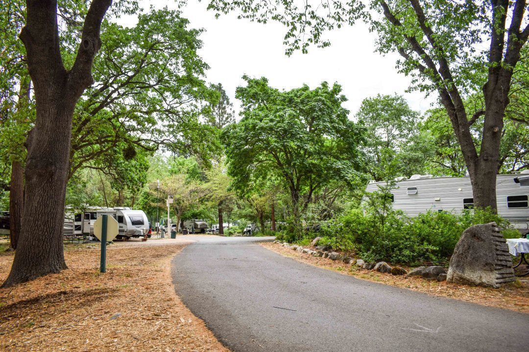 Winding paved road through a wooded campground with parked RVs and houses nearby