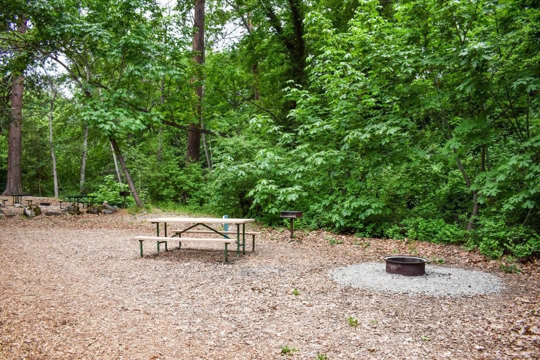 Wooded campsite with picnic table, fire ring, and gravel clearing