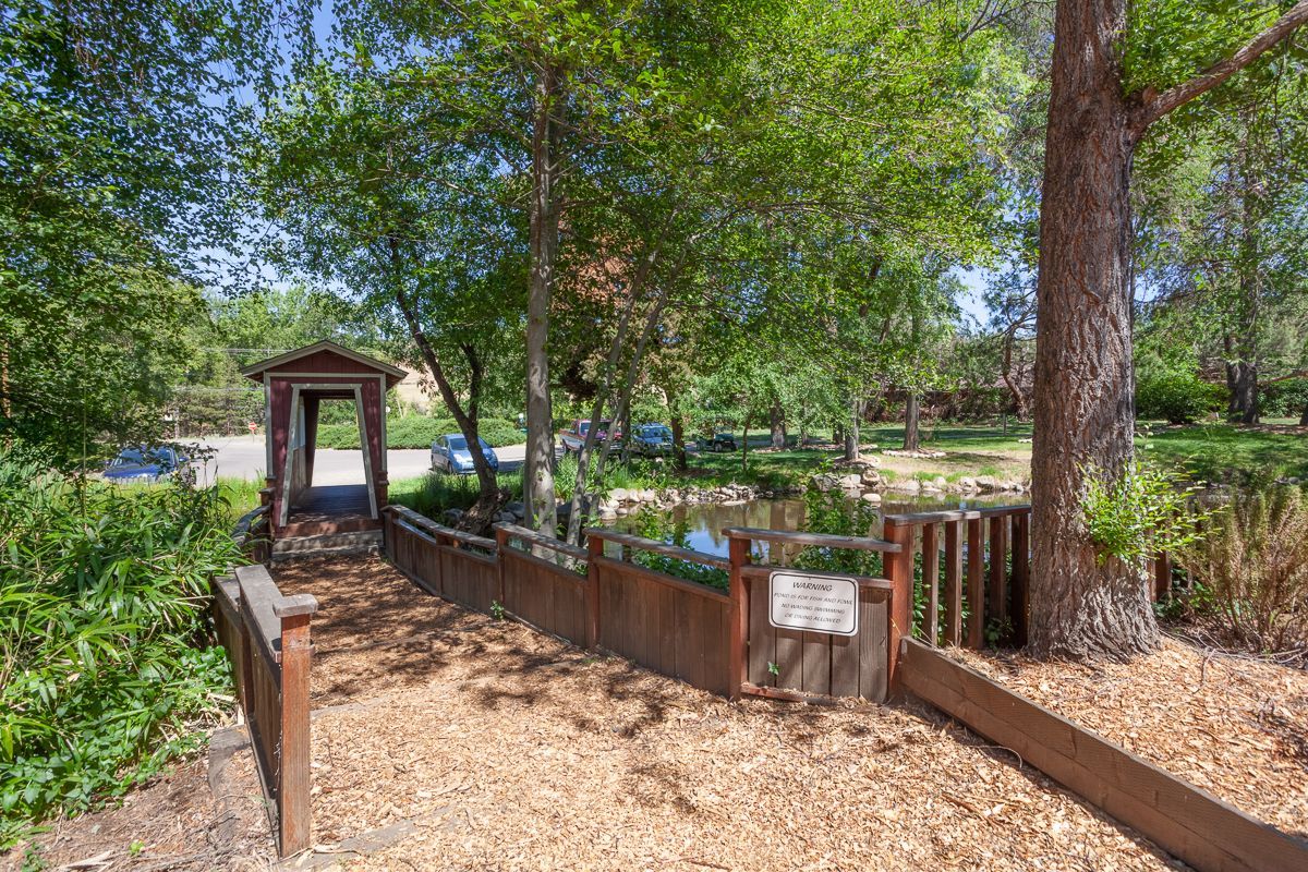 Wooded garden path with mulch, raised beds, and a small shed under trees
