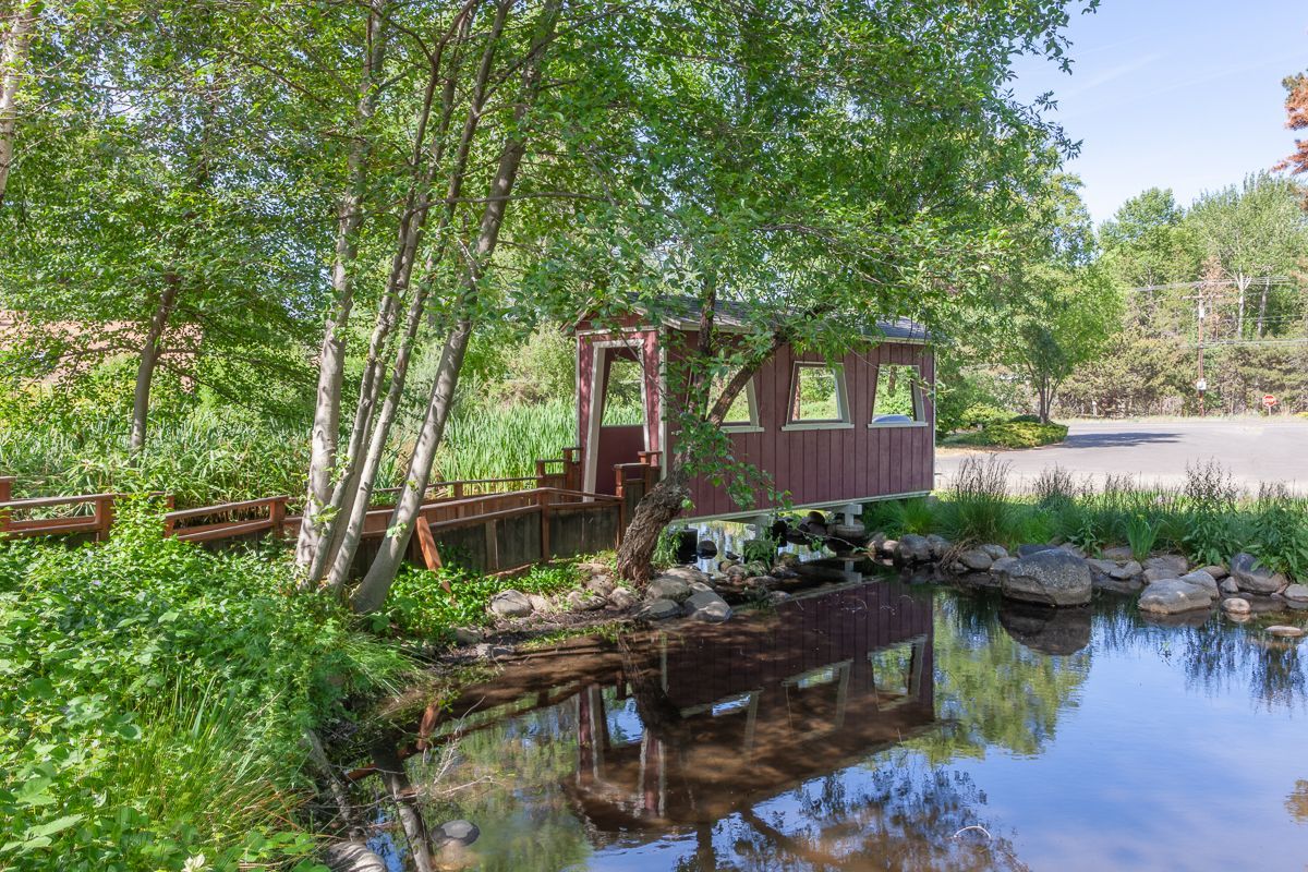 Wooden cabin by a pond, surrounded by trees and reflected in calm water