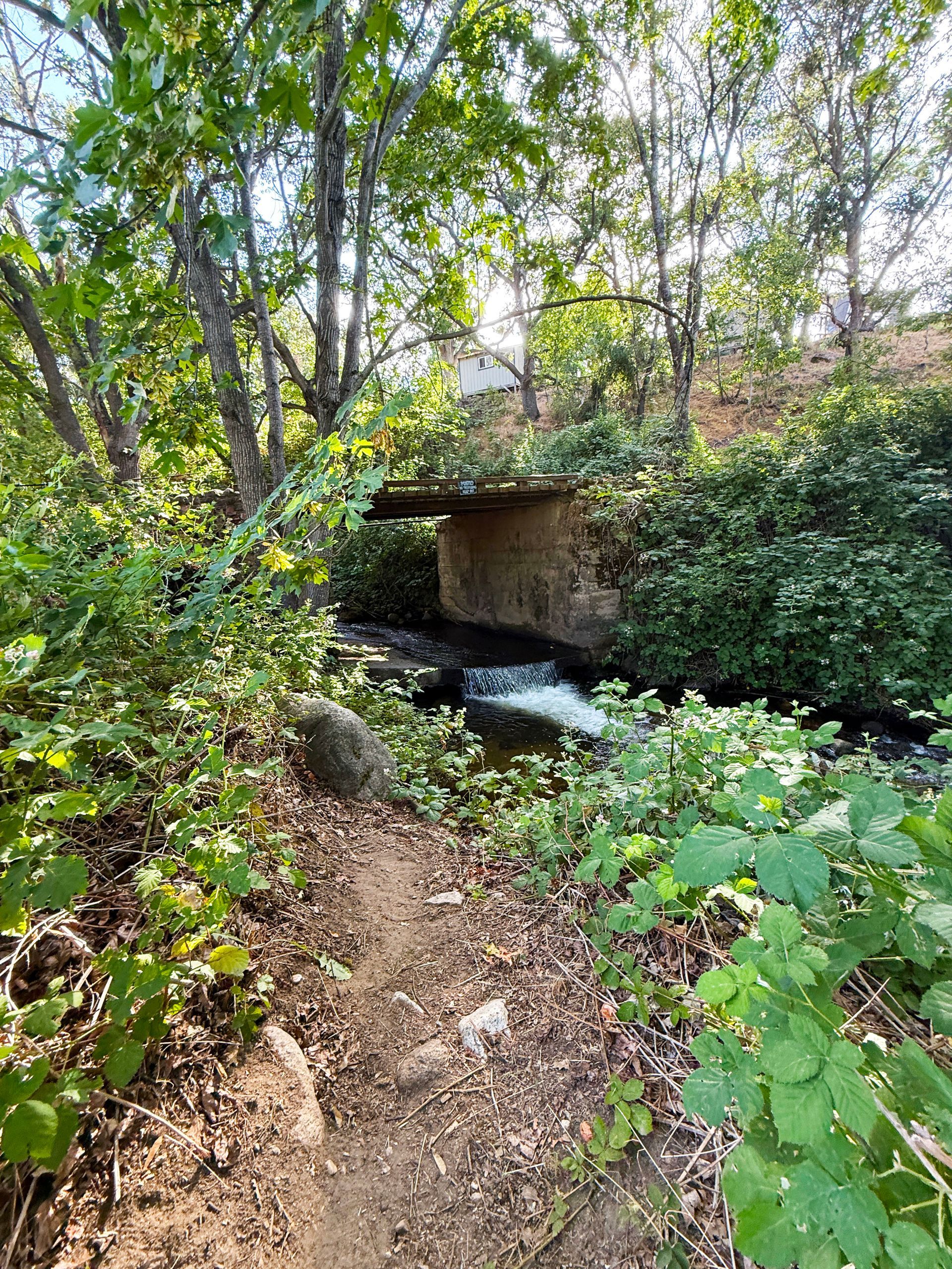 Wooded trail beside a small stream flowing under a low concrete bridge