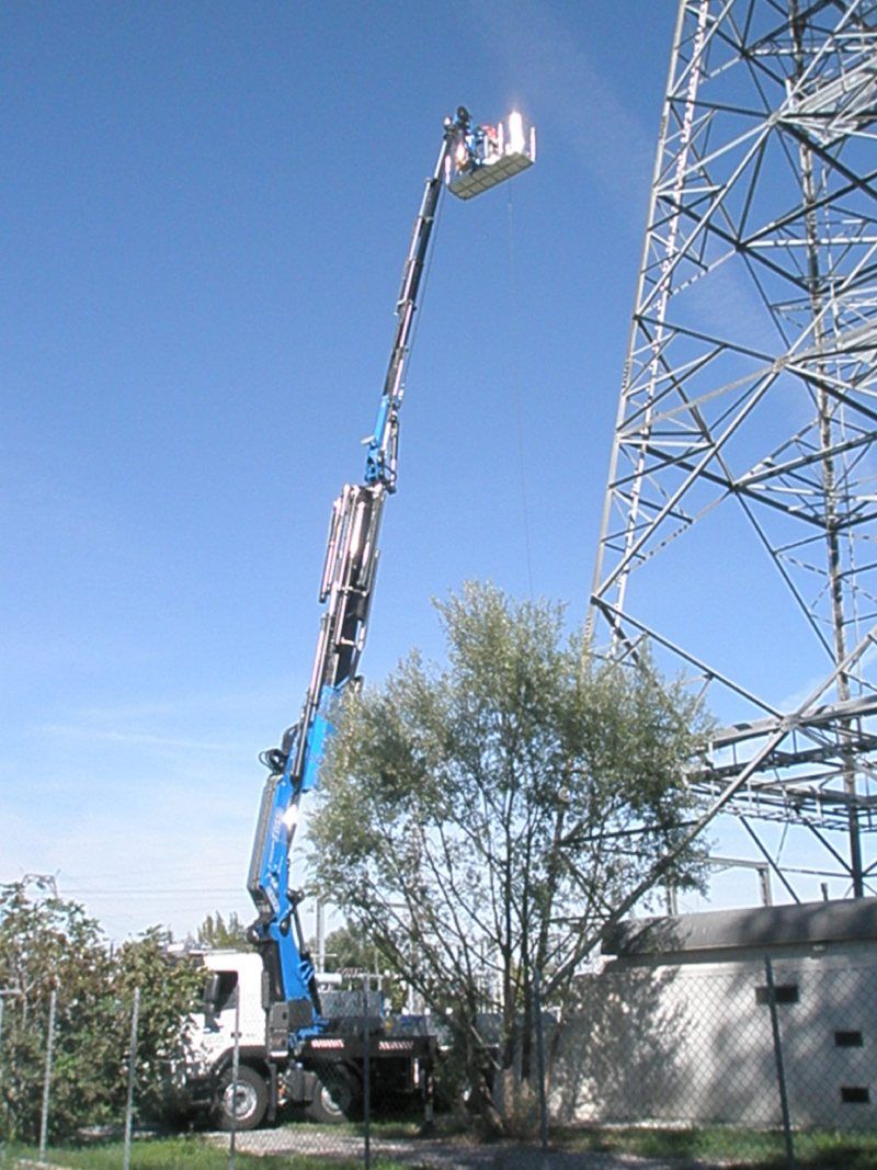 piattaforma aerea a noleggio per potature