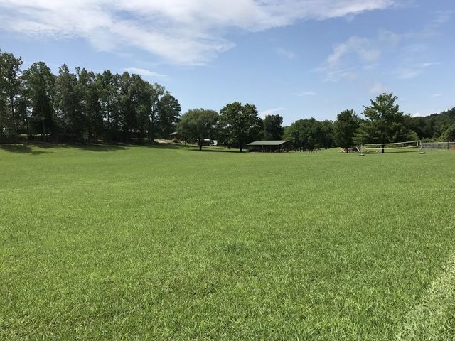 A wide open field bordered by trees