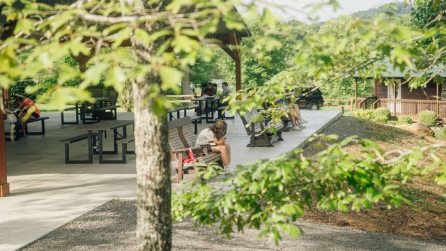 Picnic tables on a shaded concrete pad among green trees