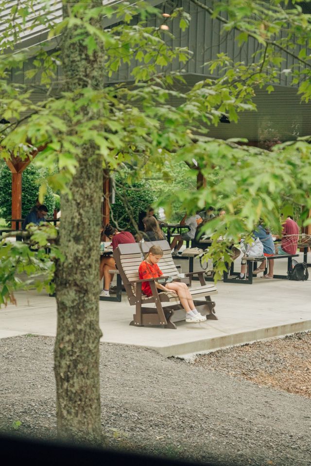 Rocking chairs and picnic tables under a pavilion, seen past a tree