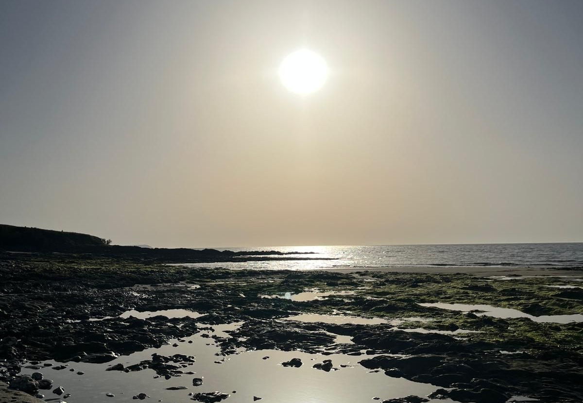 sunsetting on a rocky beach
