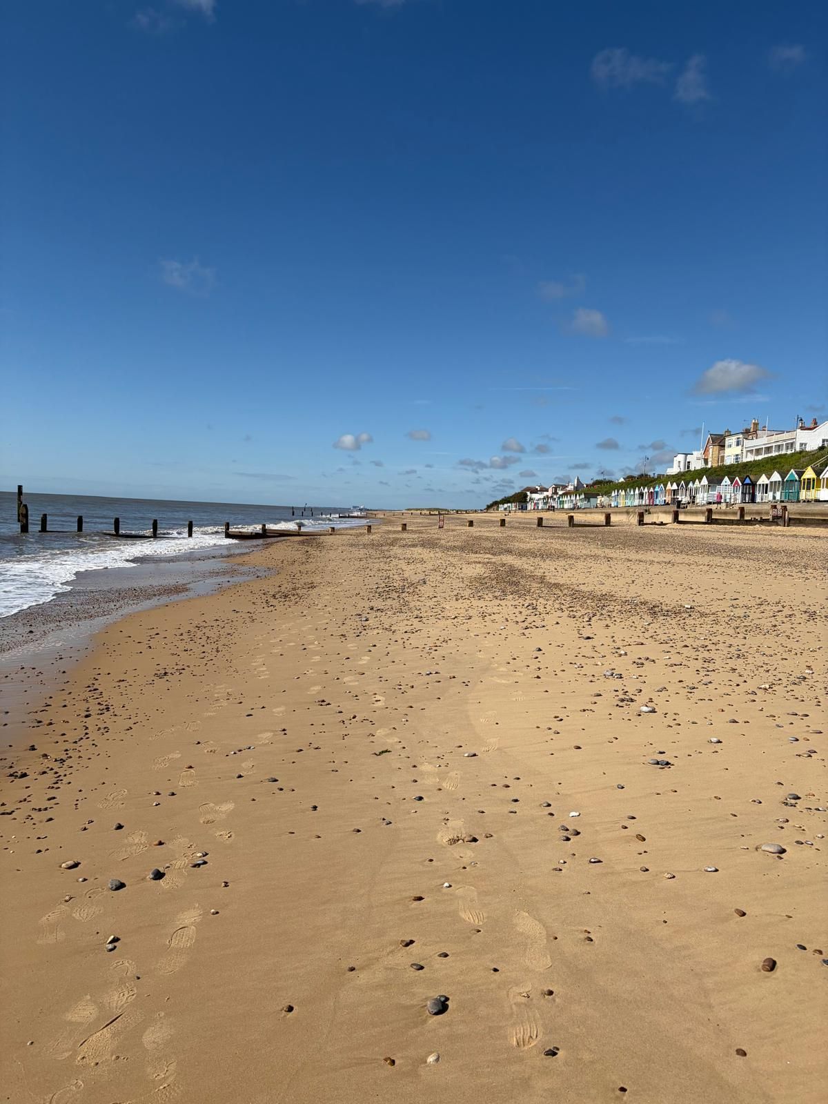 a sandy beach on a sunny day