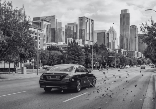 Black European luxury sedan driving through downtown Austin as birds cross the roadway