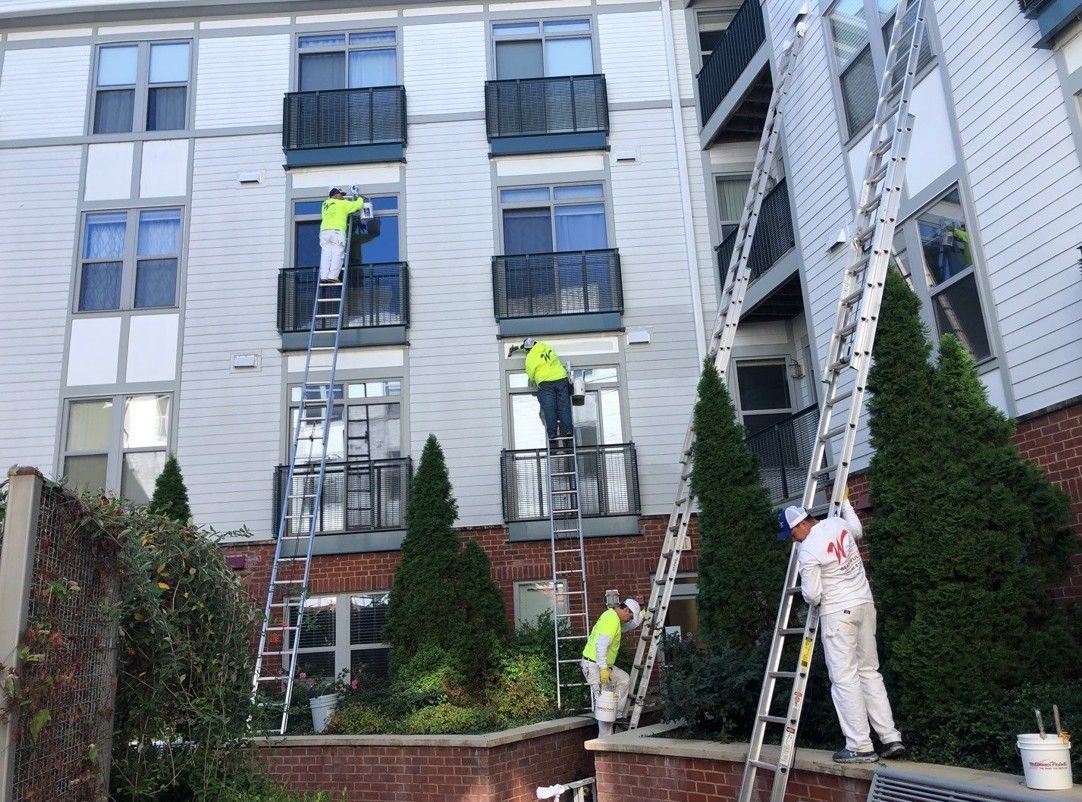 Workers on ladders cleaning windows of a white apartment building with balconies and shrubs below