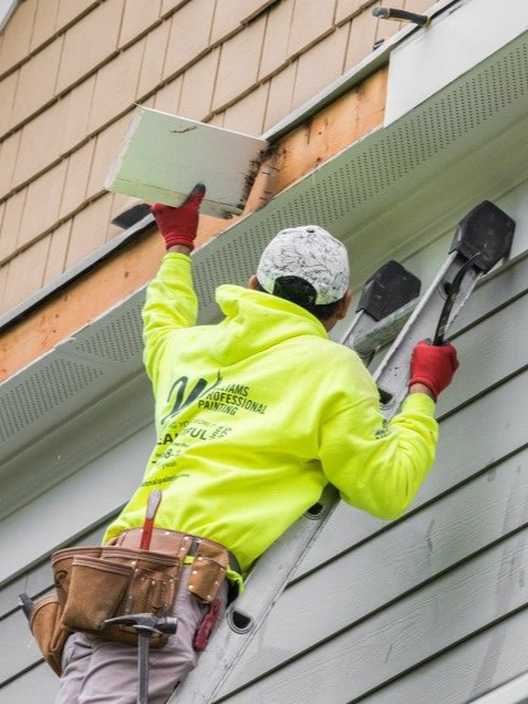 Worker in neon yellow jacket painting house siding from a ladder, holding a brush and tray.