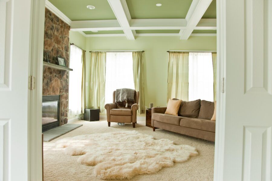 Bright living room with beige sofa, armchair, fireplace, and fluffy rug under large windows