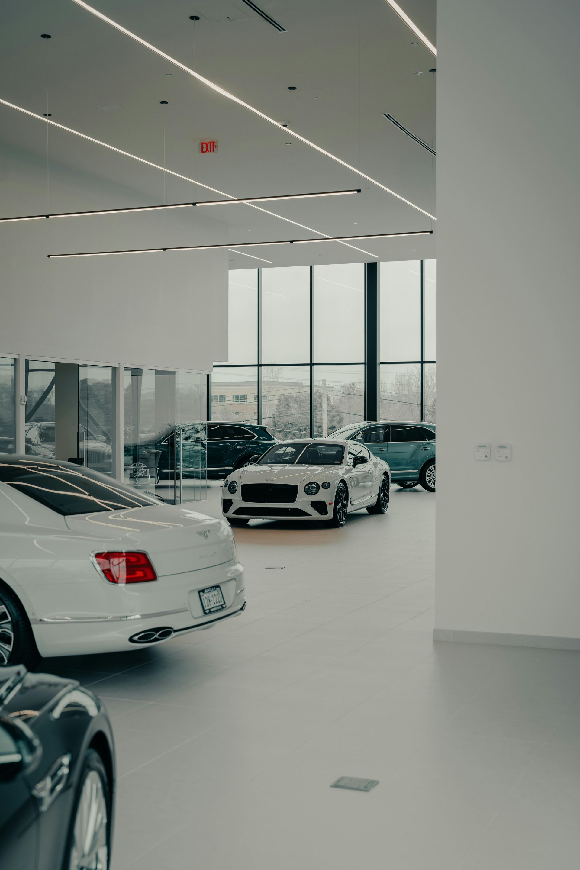Bright car showroom with several white and black cars under large windows