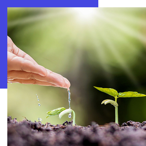 Watering plants symbolizing